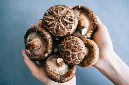 Seta shiitake Ecológicos
