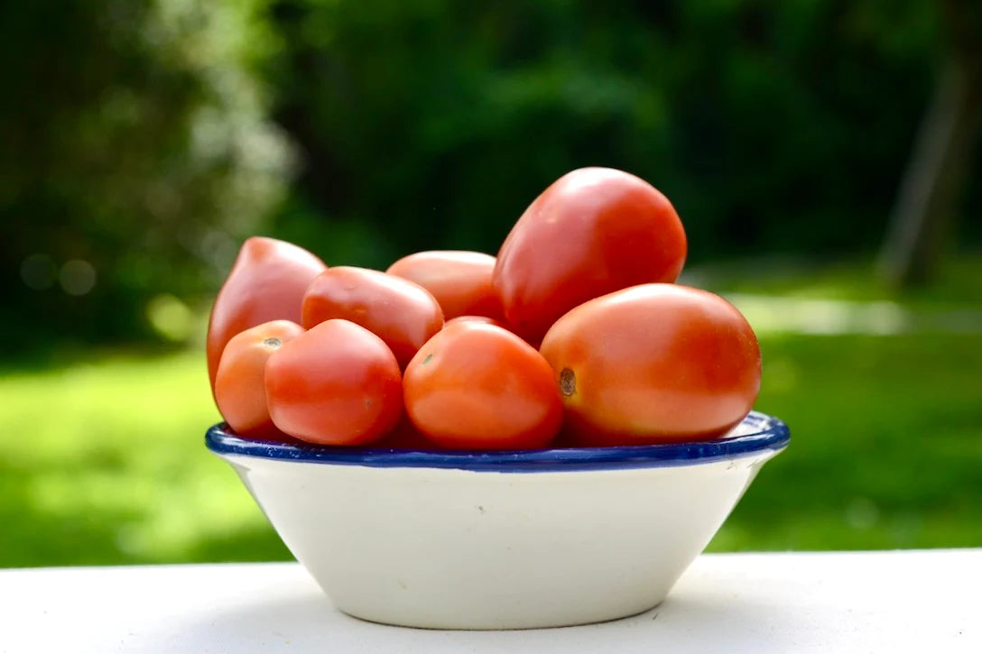 Tomate pera eco