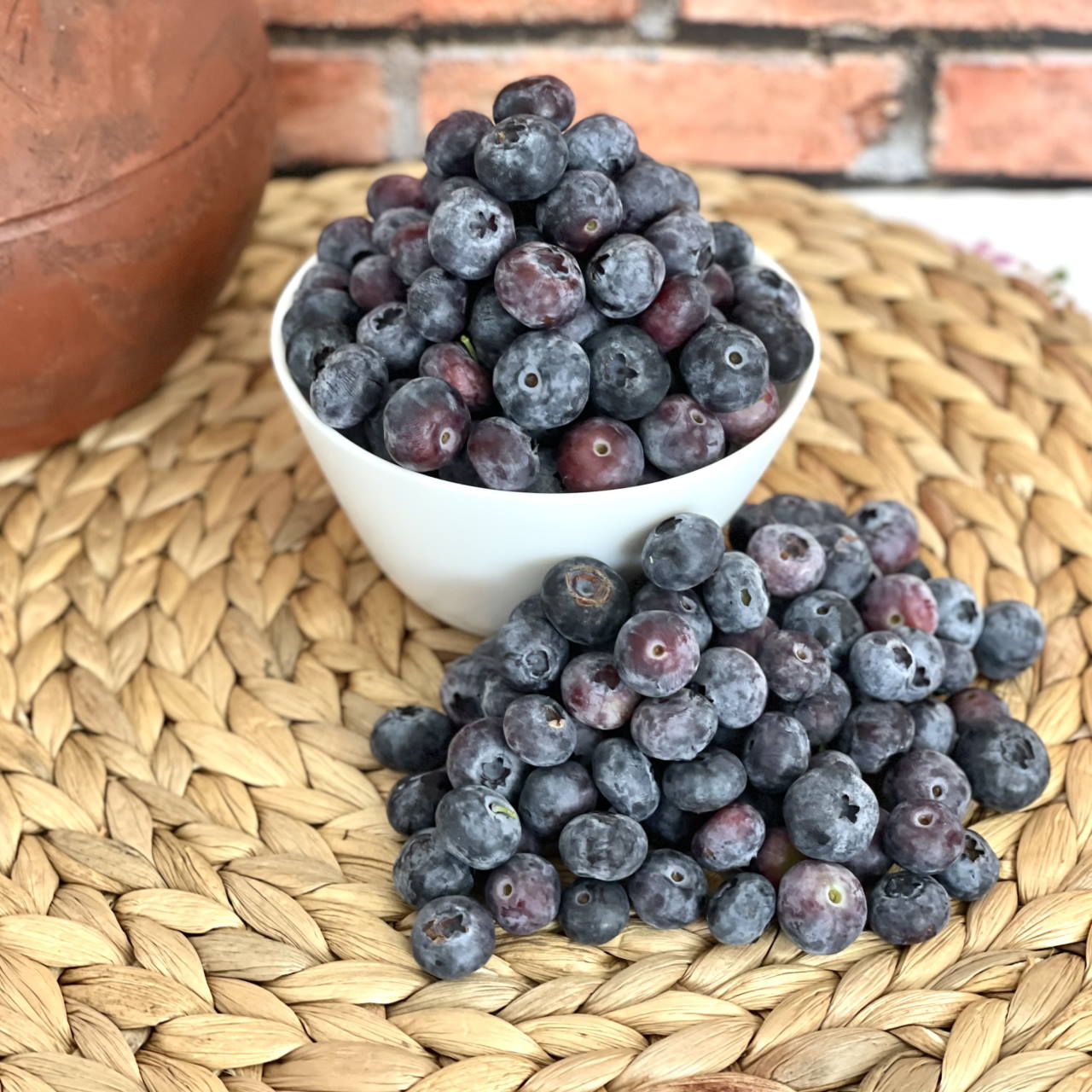 Arándanos Ecológicos