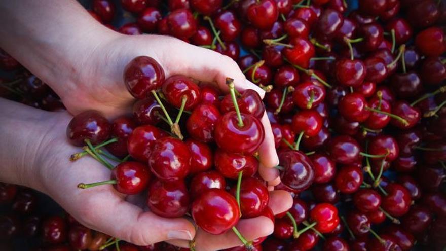 Cereza del Jerte ECO