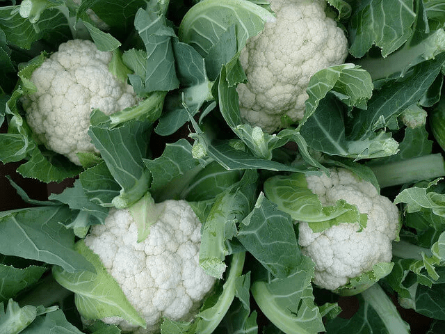Coliflor