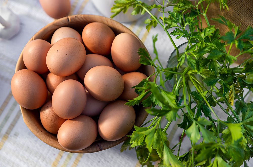 HUEVOS ECO EXTREMEÑOS