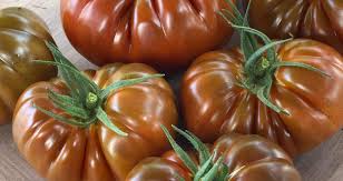 Tomate Asurcado eco