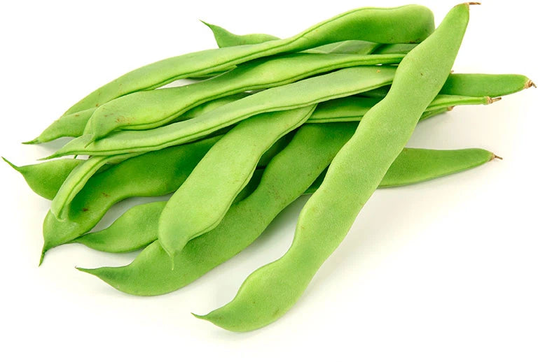 Judía verde plana Eco