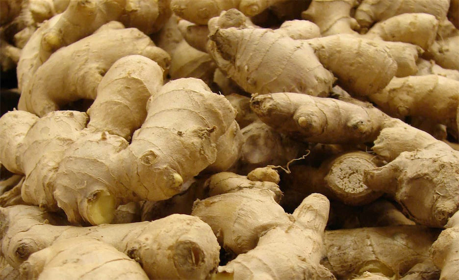 Jengibre eco
