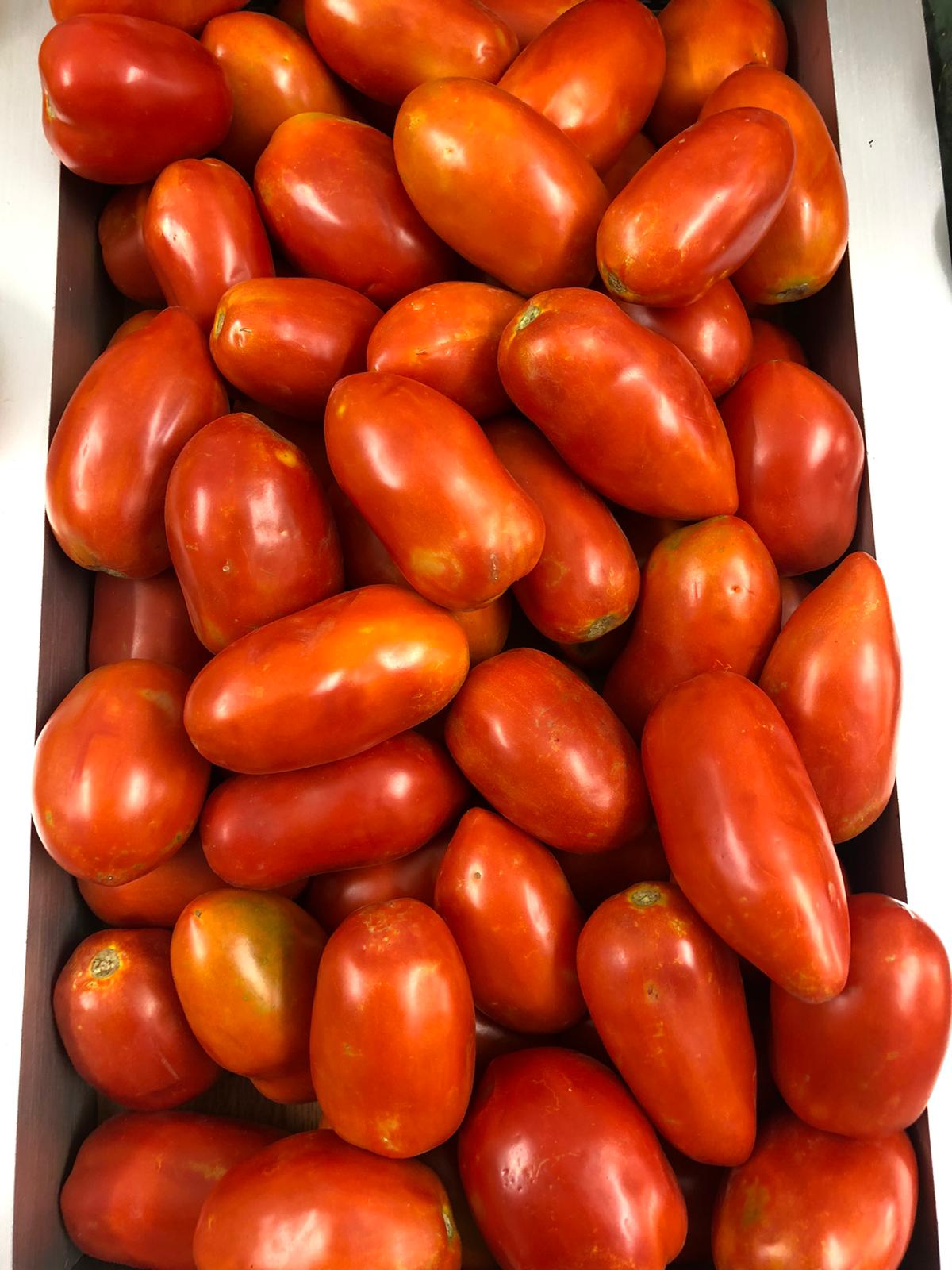 Tomate pera eco