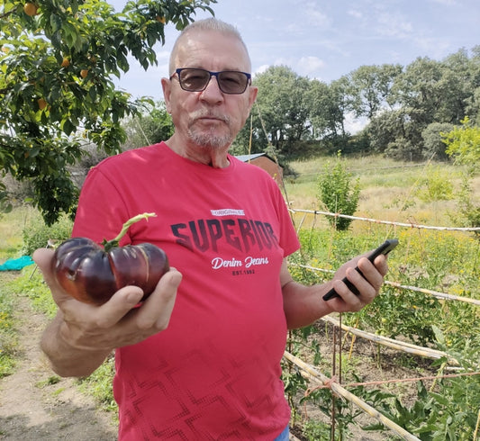 Huerta ecológica y tomates de campo, origen de Sabores del Pueblo