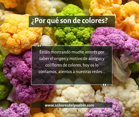 ¿Por qué son de colores?