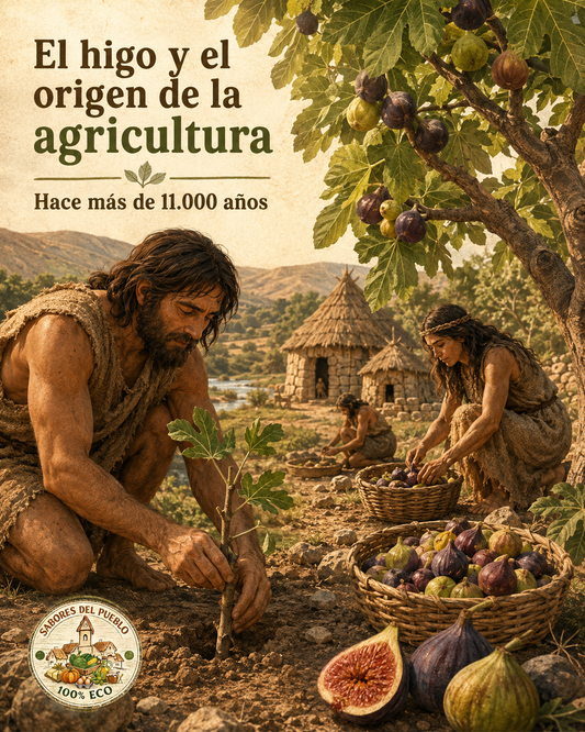 Recreación del cultivo de higueras en el Neolítico hace más de 11.000 años