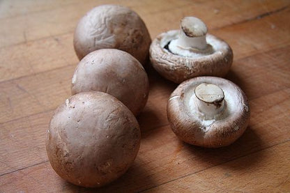 Champiñon portobello ECO