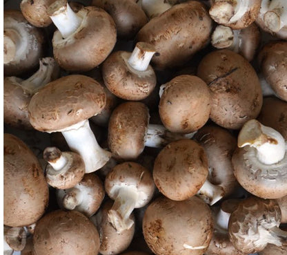 Champiñon portobello ECO
