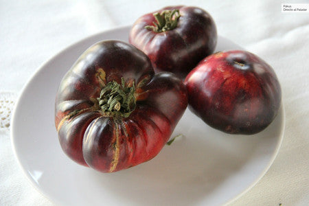 Tomate Mar Azul Ecológicos