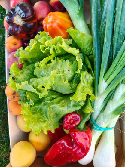 Cesta de frutas y verduras – lo mejor de la huerta esta semana