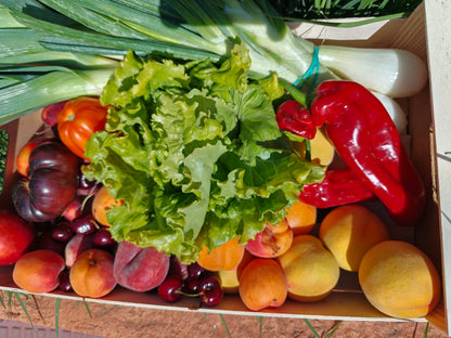 Canasta de fruta y verdura – lo mejor de la huerta y el huerto