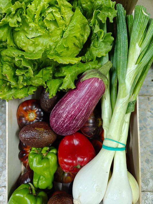 Cesta de verduras "👉 “La base de una semana sana y bien comida”"