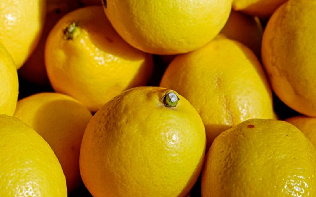 Limon verna ECO – Sabores Del Pueblo