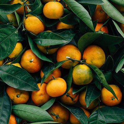 Mandarina ECO