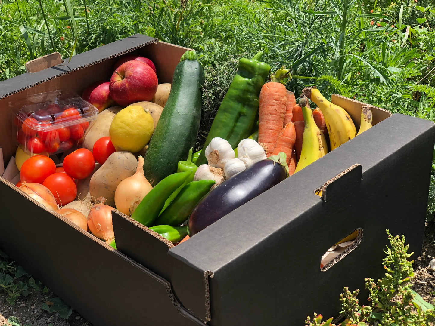 Detalle de frutas y verduras ecológicas de temporada