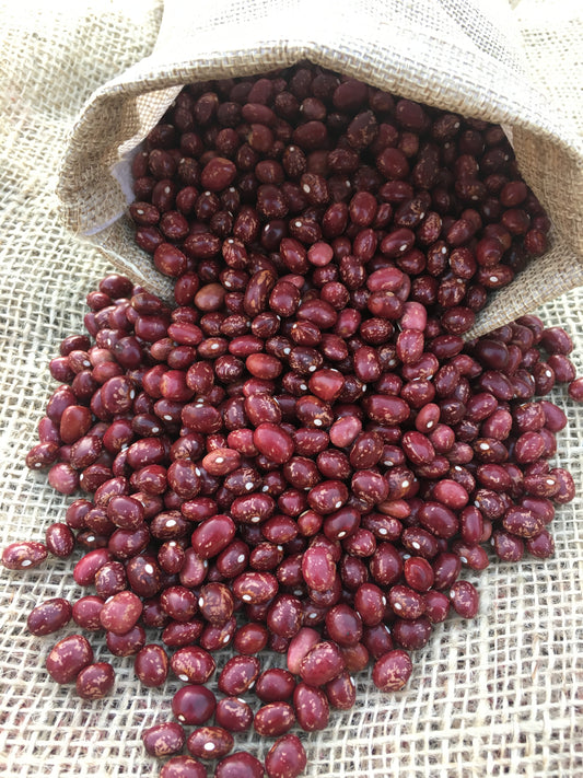 Alubia Pinta ecologica