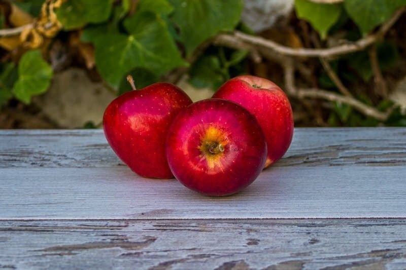 Manzana Royal Gala ECO