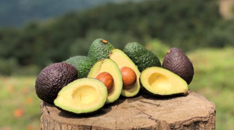 Aguacate HASS  EXTRA ECO