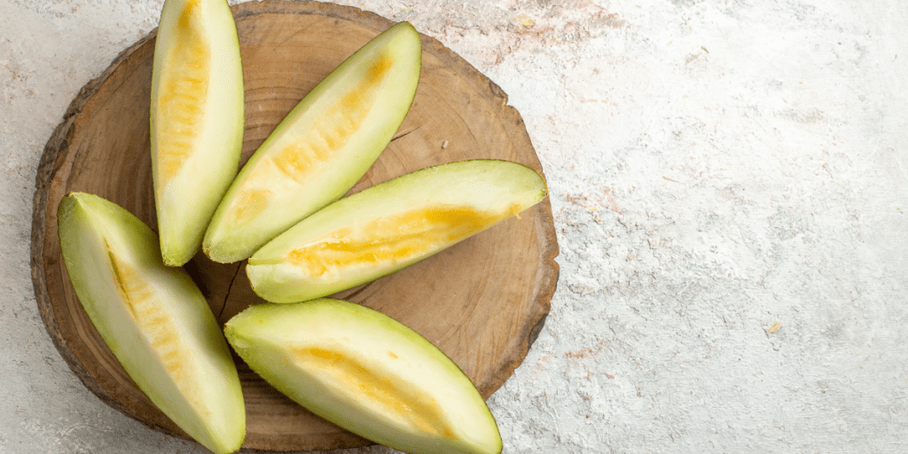 Melón piel de sapo  BRUÑO ECO