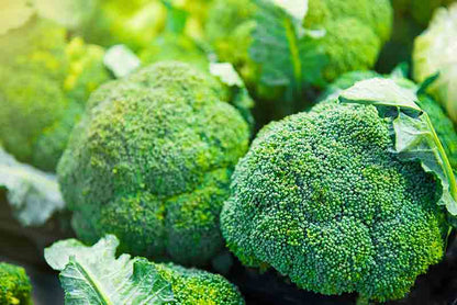Brócoli Ecológicos
