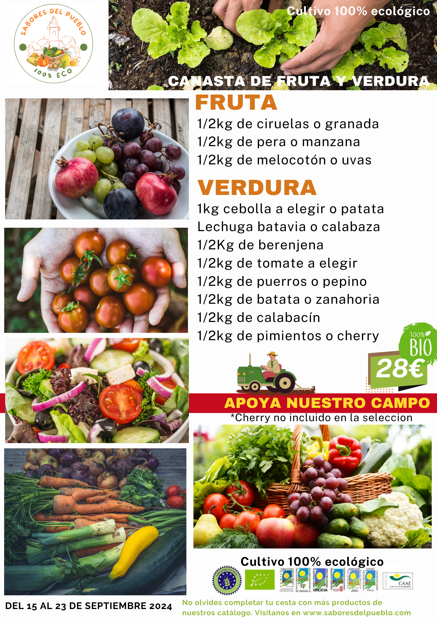 Canasta de fruta y verdura