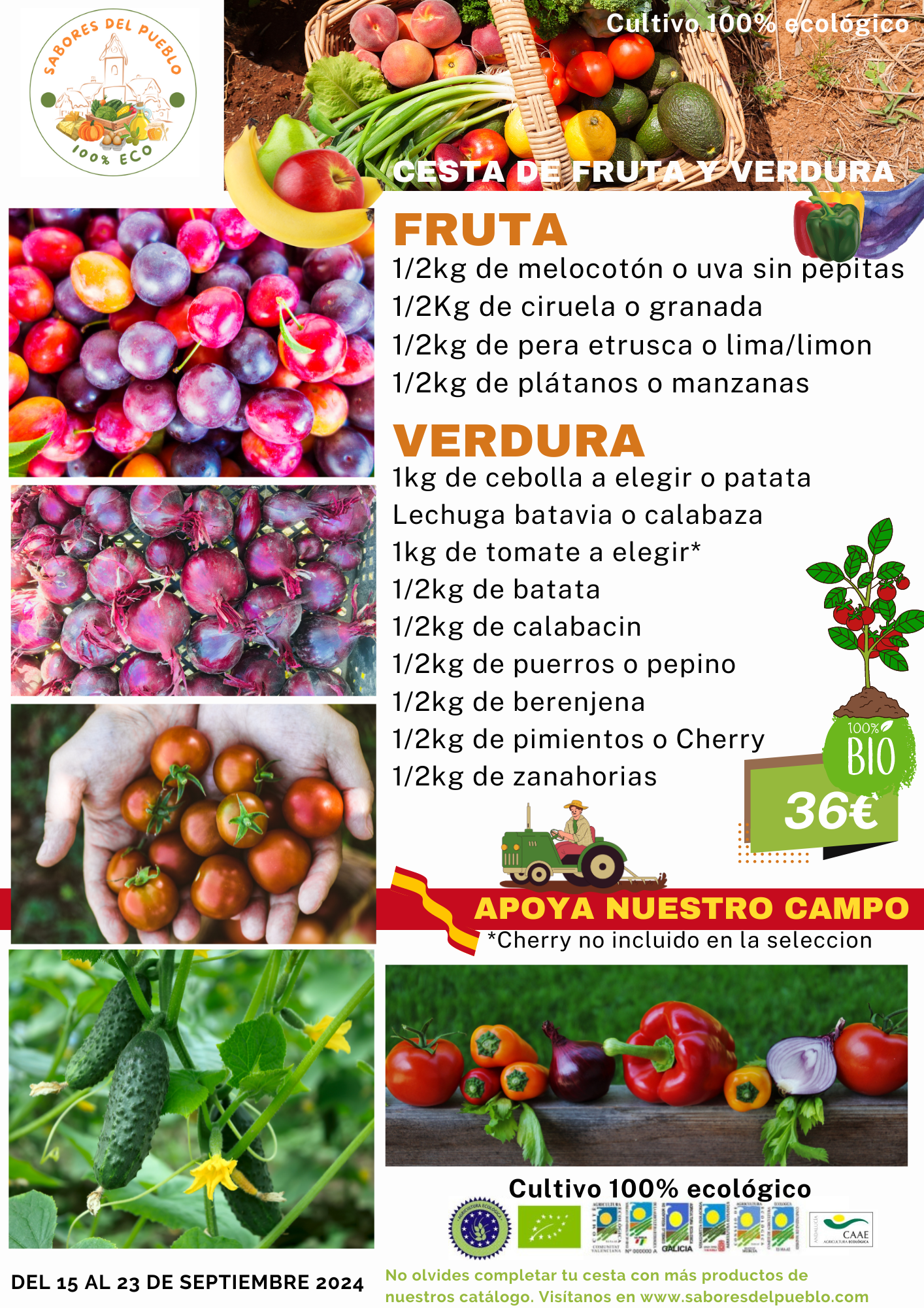 Cesta de fruta y verdura