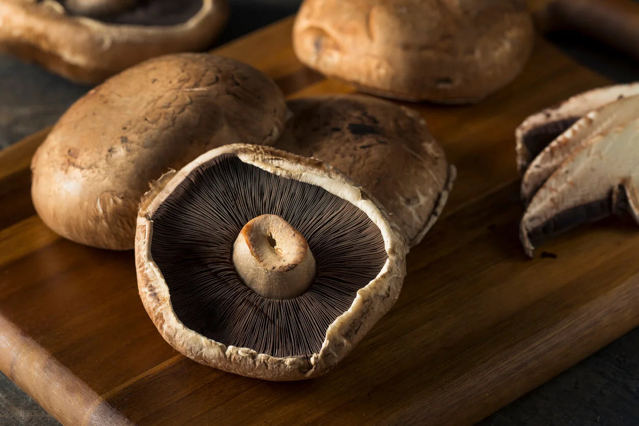 Champiñon portobello ECO