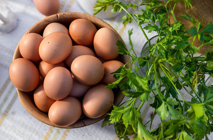 HUEVOS ECO EXTREMEÑOS