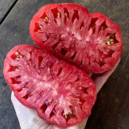 Tomate corazón de buey