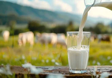 Leche ecológica semi de Cantabria
