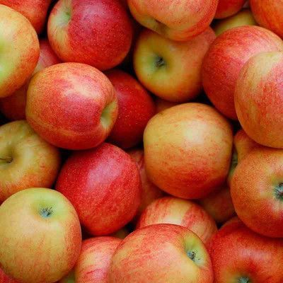 Manzana Royal Gala ECO