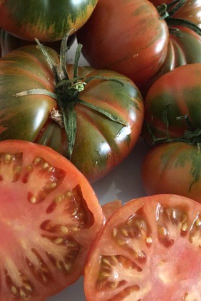 Tomate Asurcado eco
