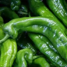 Pimiento italiano verde eco
