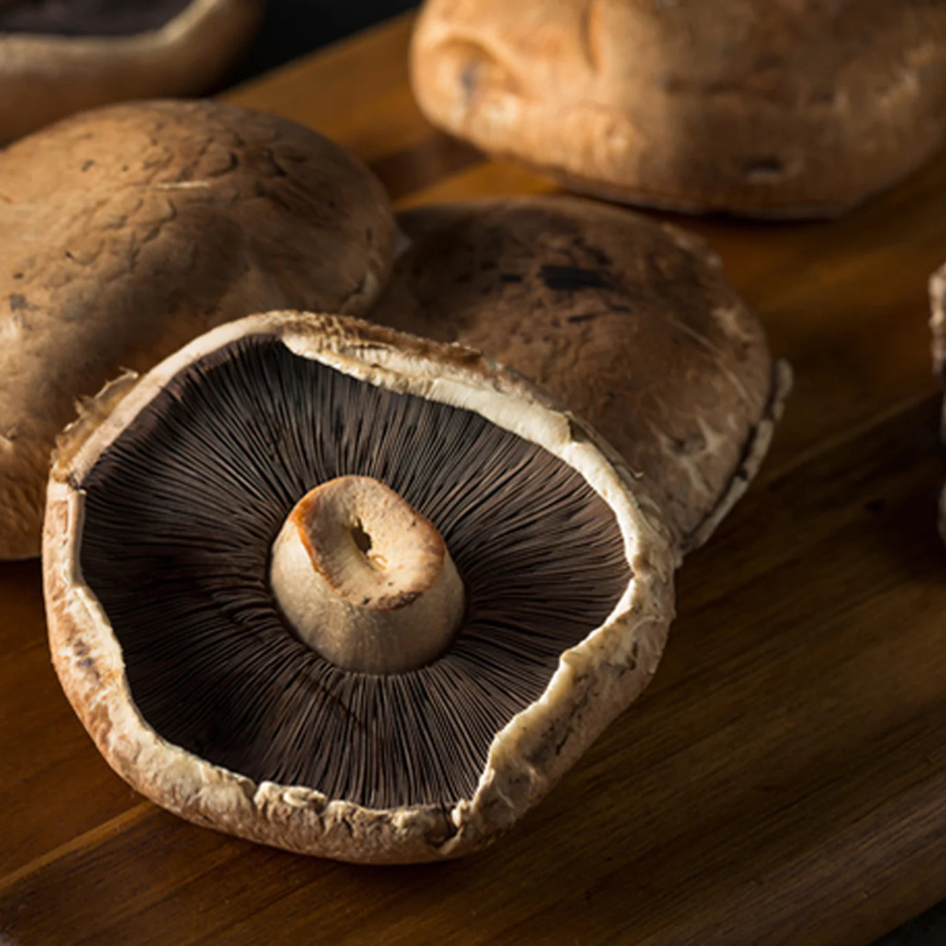 Champiñon portobello ECO