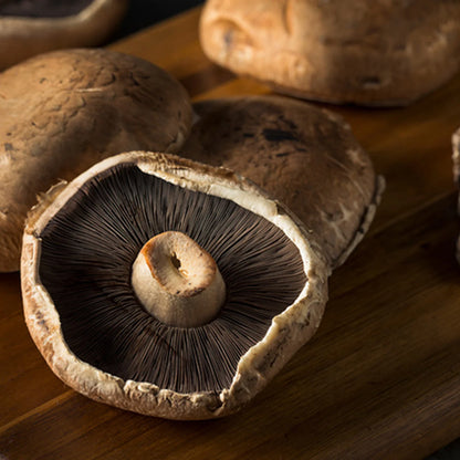 Champiñon portobello ECO