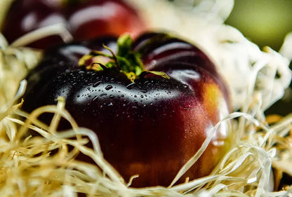 Tomate Mar Azul Ecológicos