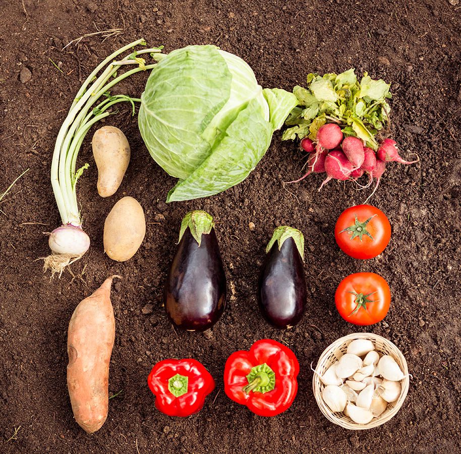 Selección de verduras ecológicas variadas en cesta Sabores del Pueblo